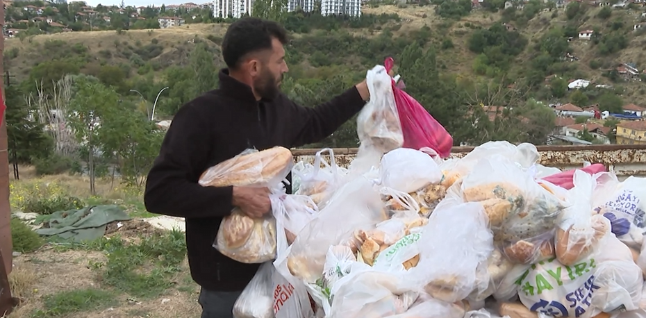 14 Aydır Ekstra Ekmekleri Çöpten Alıp Hayvanlara Kazandırıyor