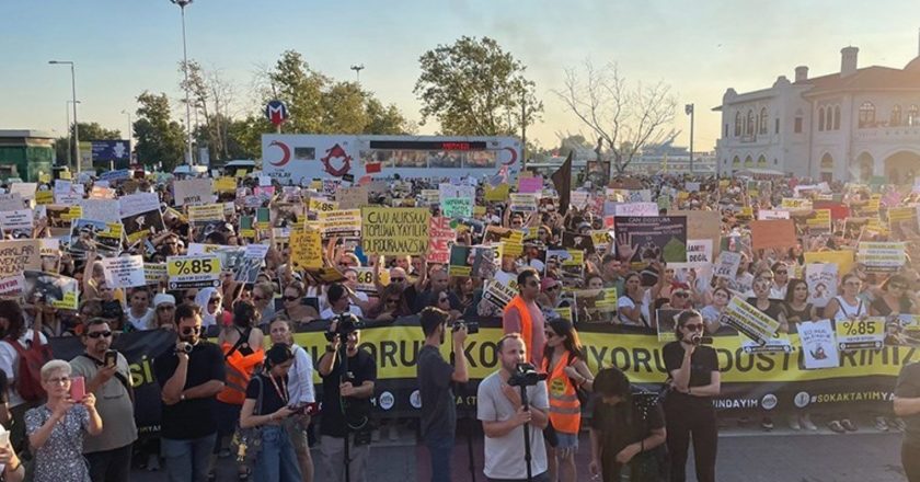 Kadıköy’de yaşam hakkı savunucuları: “AKP kanunu bozdu” – Son Dakika Türkiye Haberleri