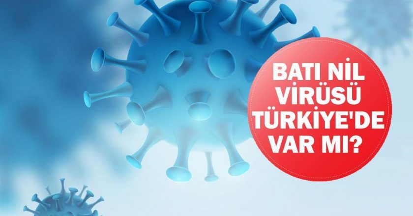 Batı Nil virüsü Türkiye’de var mı? Sağlık Bakanlığı’ndan Batı Nil Virüsü Açıklaması!