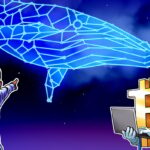 BTC balinasının aktivitesi, boğa pazarının hızlandığını gösteriyor