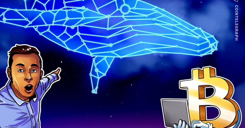 BTC balinasının aktivitesi, boğa pazarının hızlandığını gösteriyor