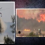 Sakarya’da, Bilecik’te, İzmir’de, Karabük’te ve Eskişehir’de orman yangını!