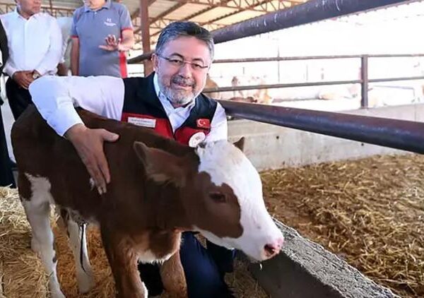 Bakan Yumaklı: 200 bin hayvanı yerli üreticiden temin edeceğiz