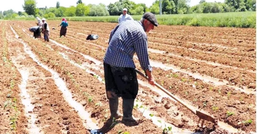 CHP’li Durmaz’dan iktidara zirai don çağrısı: ‘Gerçek rakamlarla güncelleyin’ – Son Dakika Tarım Haberleri