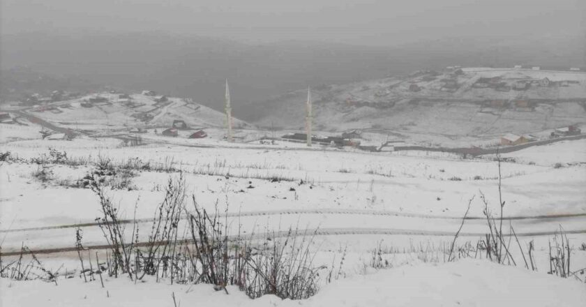 Gümüşhane’nin yüksek kesimleri beyaza büründü